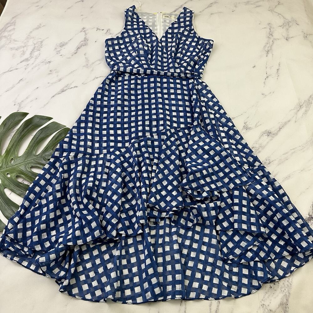 Eliza J Blue and White Gingham Midi Dress